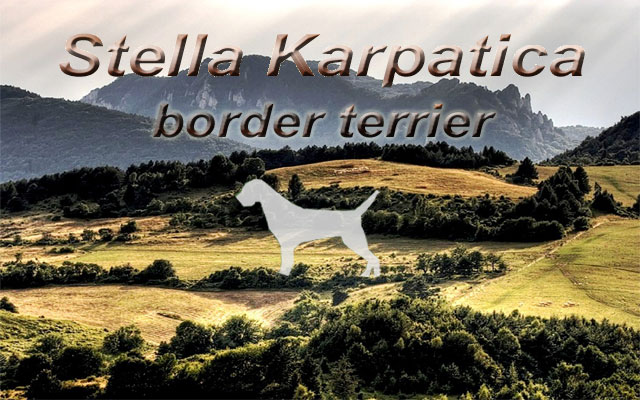 Víta Vás Stella Karpatica